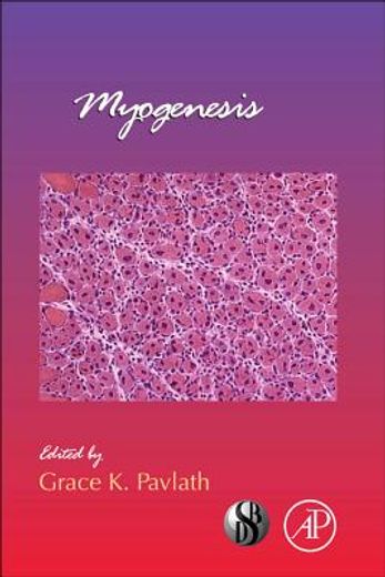 myogenesis