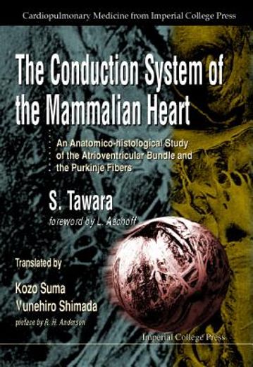 the conduction system of the mammalian heart,an anatomico-histological study of the atrioventricular
