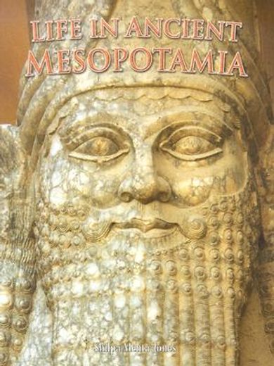 life in ancient mesopotamia (en Inglés)