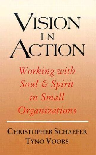 vision in action,a practical guide for the cooperative management of small organizations