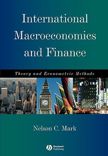 international macroeconomics and finance,theory and econometric methods