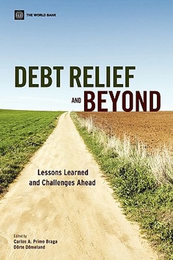 debt relief and beyond,lessons learned and future challenges