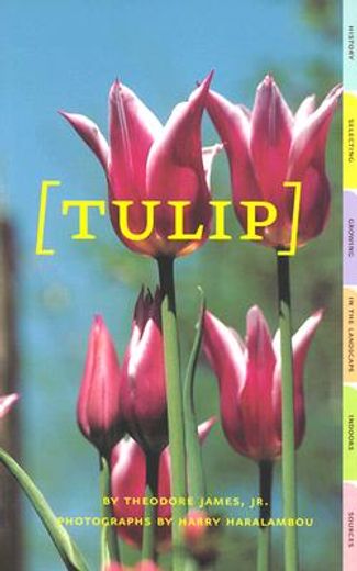 tulip
