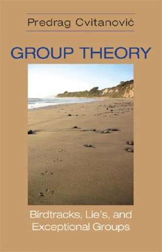 group theory,lie´s, tracks, and exceptional groups