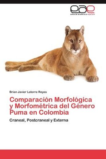 comparaci n morfol gica y morfom trica del g nero puma en colombia (in Spanish)