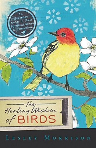 the healing wisdom of birds,an everyday guide to their spiritual songs & symbolism