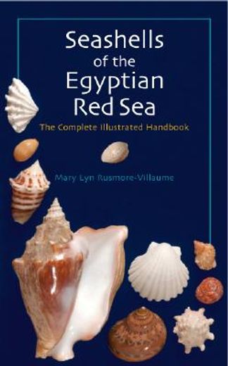 seashells of the egyptian red sea,an illustrated handbook (in English)