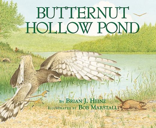 butternut hollow pond (en Inglés)