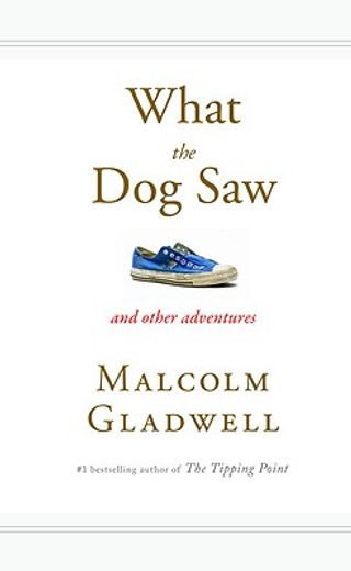 what the dog saw,essays