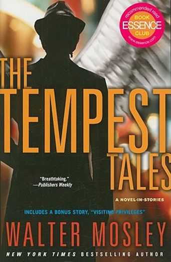 the tempest tales,a novel-in-stories (in English)