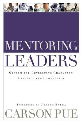 mentoring leaders,wisdom for developing character, calling, and competency
