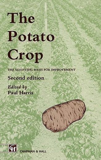potato crop (en Inglés)