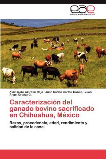 caracterizaci n del ganado bovino sacrificado en chihuahua, m xico (in Spanish)