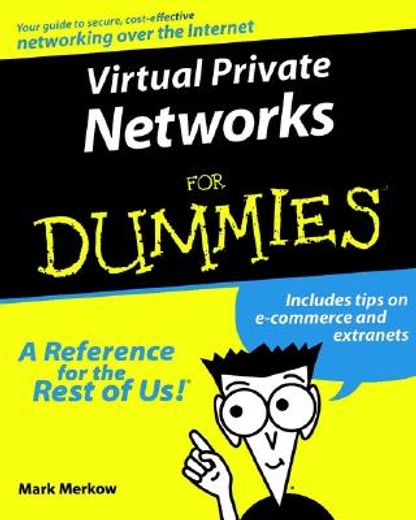 virtual private networks for dummies (en Inglés)