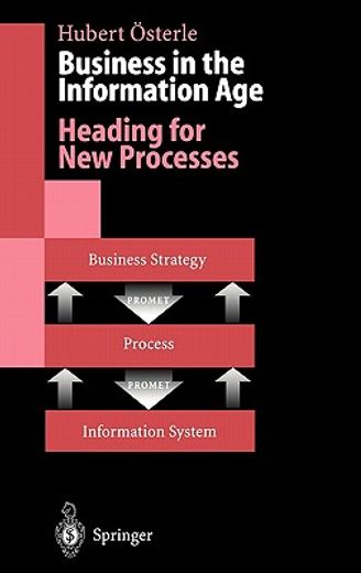 business in the information age (in English)
