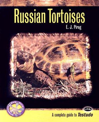 russian tortoises,a complete guide to testudo
