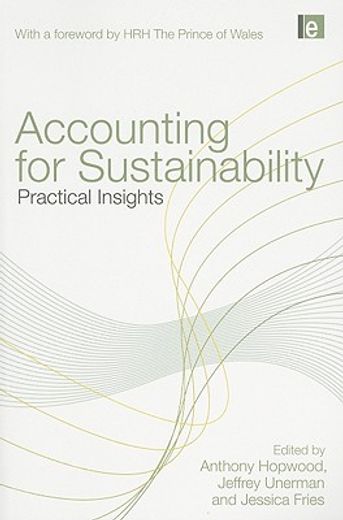 accounting for sustainability,practical insights