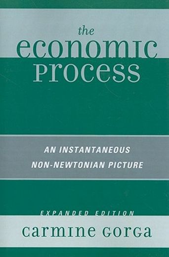 the economic process,an instantaneous non-newtonian picture