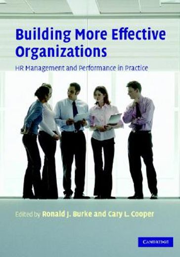 building more effective organizations,hr management and performance in practice