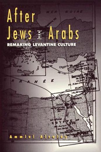 after jews and arabs,remaking levantine culture
