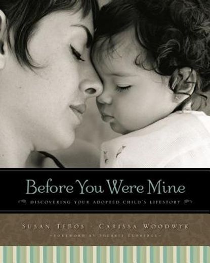 before you were mine,discovering your adopted child`s lifestory (in English)