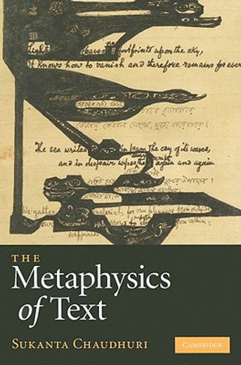 the metaphysics of text