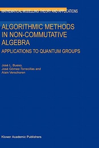 algorithmic methods in non-commutative algebra (en Inglés)