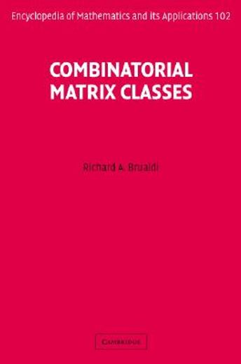 combinatorial matrix classes