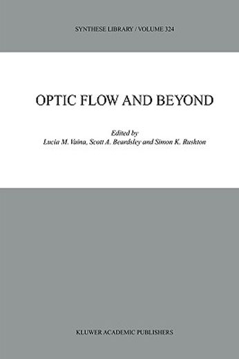 optic flow and beyond