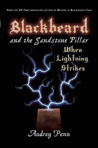 Blackbeard and the Sandstone Pillar, Book 2: When Lightning Strikes (en Inglés)