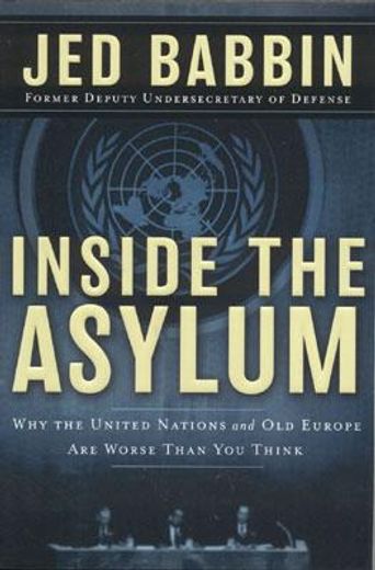 inside the asylum,why the un  and old europe are worse than you think