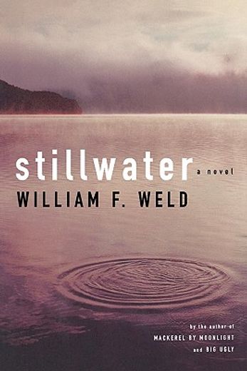 stillwater,a novel