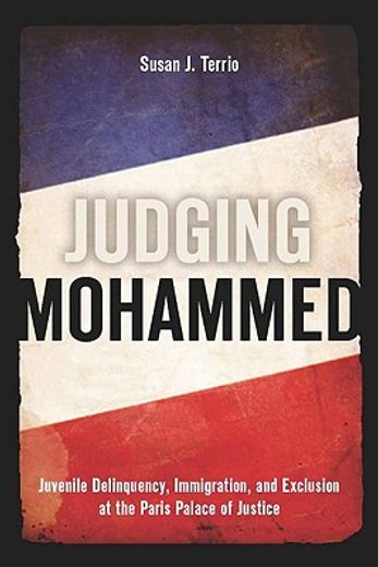 judging mohammed,juvenile delinquency, immigration, and exclusion at the paris palace of justice