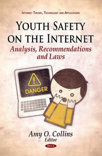 youth safety on the internet,analysis, recommendations and laws