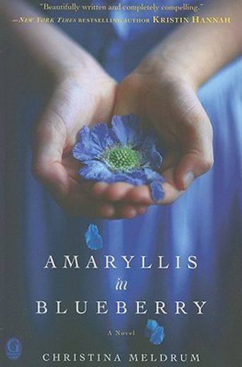 amaryllis in blueberry (en Inglés)