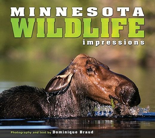 minnesota wildlife impressions (en Inglés)