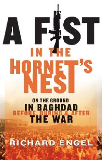 fist in the hornet´s nest,on the ground in baghdad before, during and after the war (en Inglés)