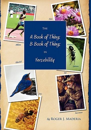 the a book of things, b book of things (en Inglés)