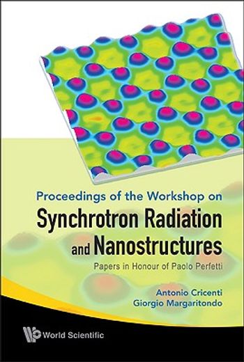 Synchrotron Radiation and Nanostructures: Papers in Honour of Paolo Perfetti - Proceedings of the Workshop (in English)