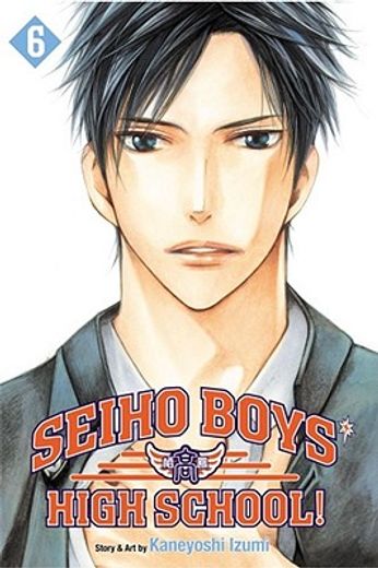 Seiho Boys' High School!, Vol. 6 (en Inglés)