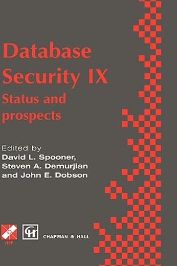 database security ix (en Inglés)