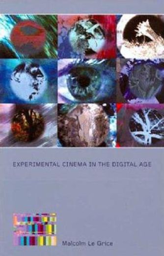experimental cinema in the digital age