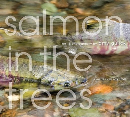 salmon in the trees,life in alaska´s tongass rain forest