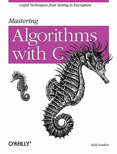 mastering algorithms with c (en Inglés)