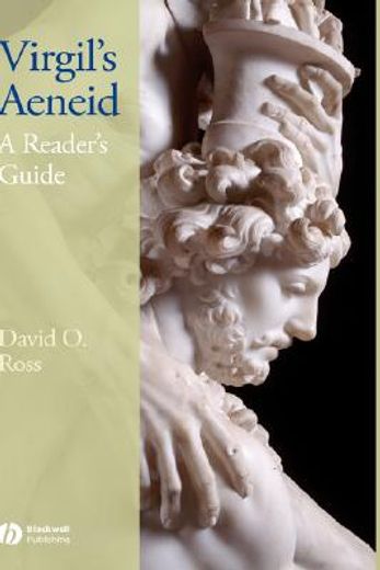 virgil´s aeneid,a reader´s guide