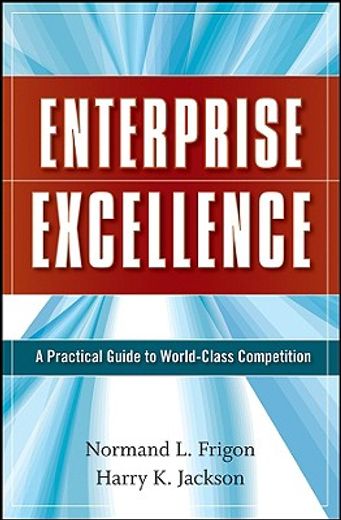 enterprise excellence,a practical guide to world-class competition