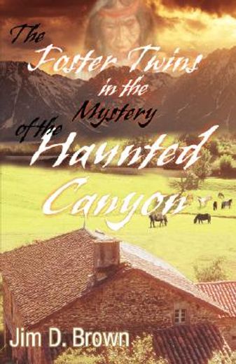 foster twins in the mystery of the haunted canyon (en Inglés)