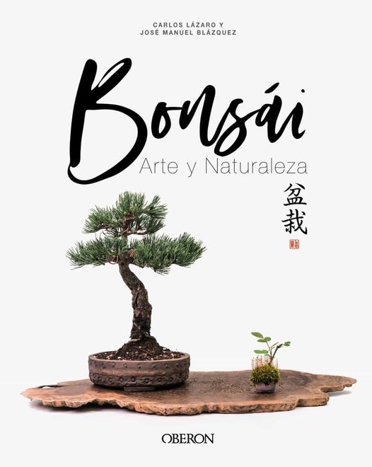 Bonsái: Arte y Naturaleza portada Bonsái: Arte y Naturaleza