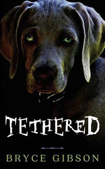 Tethered: County Line Horror #4 (en Inglés) portada Tethered: County Line Horror #4 (en Inglés)