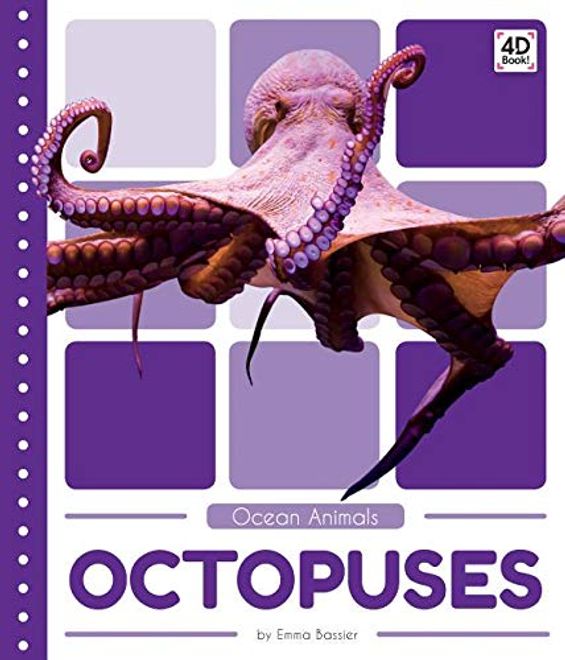 Octopuses (Ocean Animals (Pop)) (en Inglés) portada Octopuses (Ocean Animals (Pop)) (en Inglés)